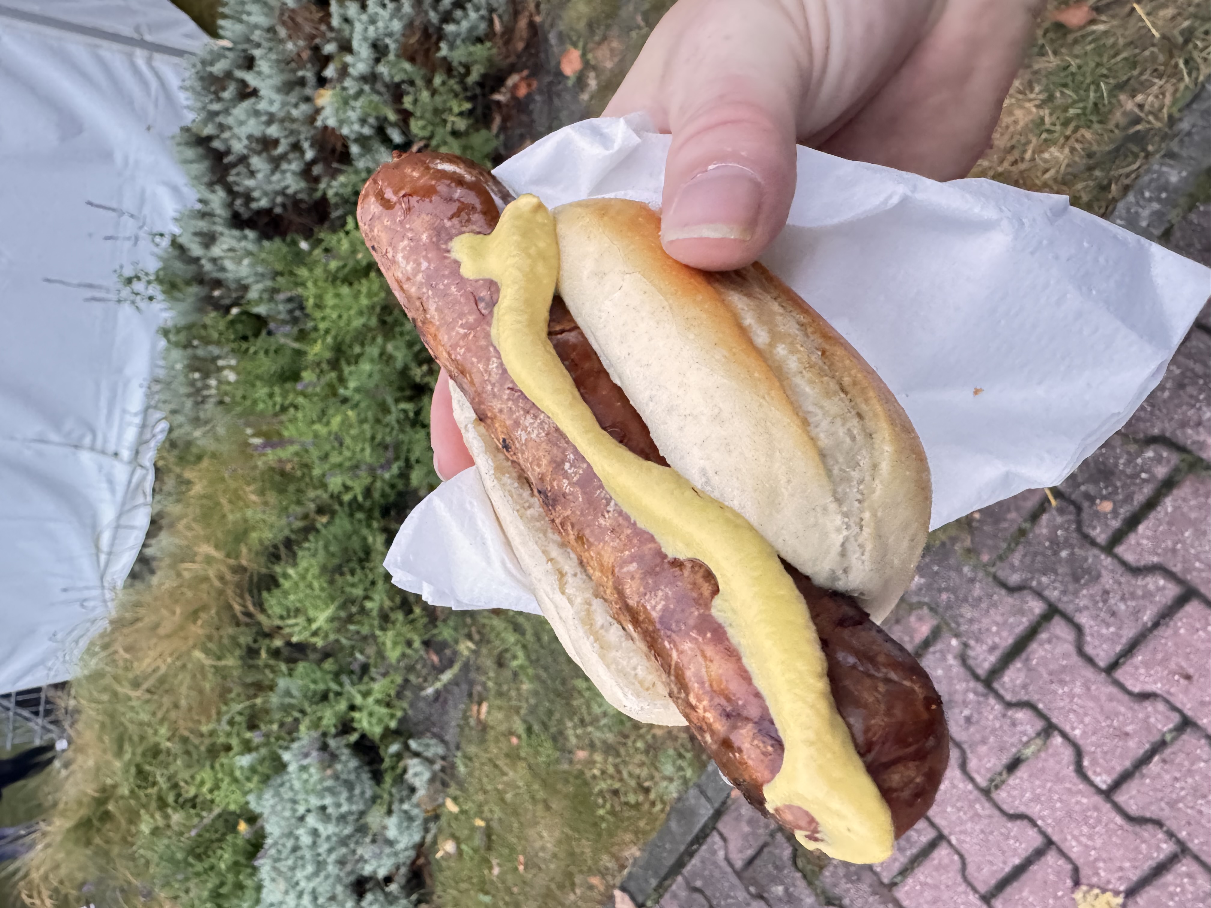 Bewertungsfoto Haupbühne Uferfest Premnitz